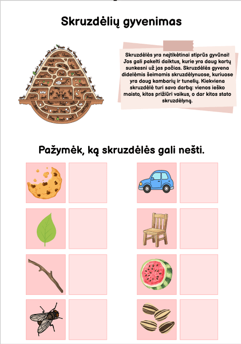 pasaulis-ir-as-56-34