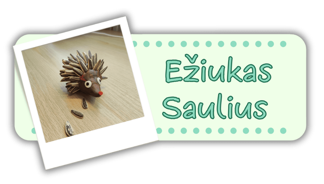 Ežiukas Saulius
